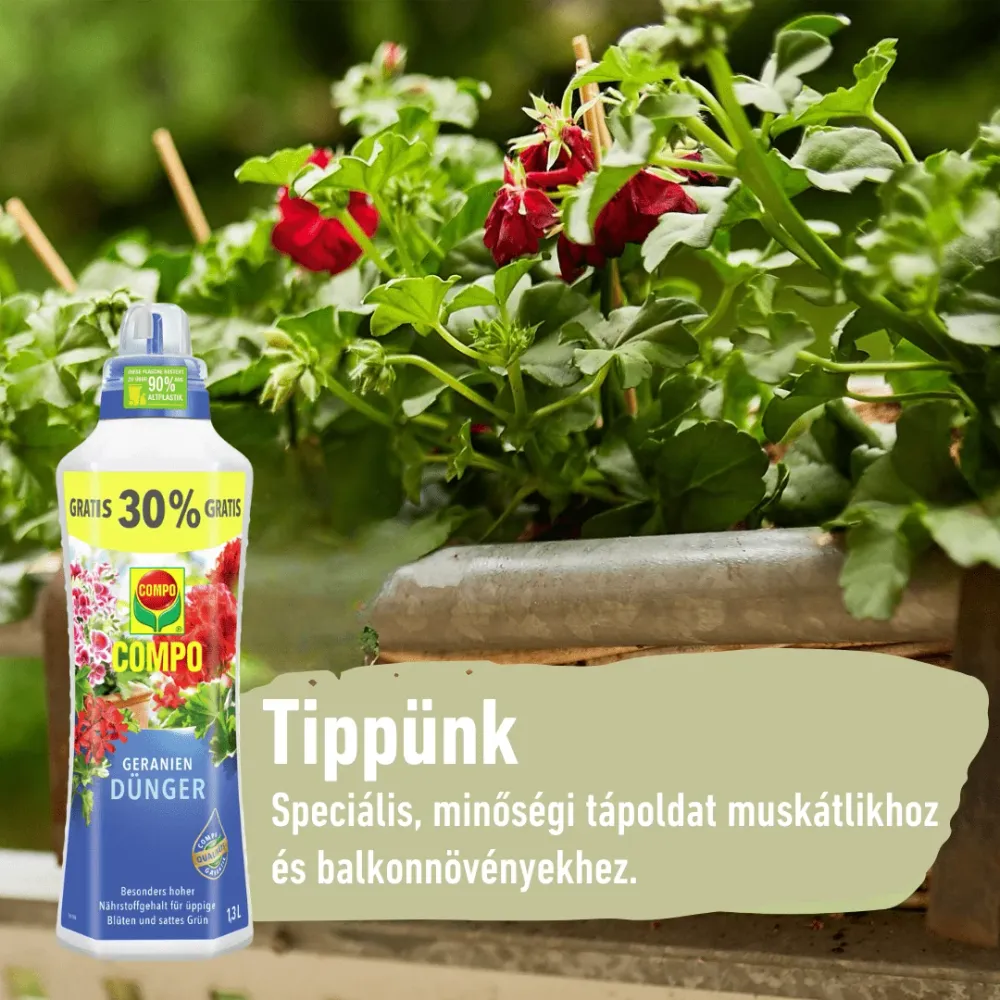 Compo Tápoldat Muskátli 1,3L