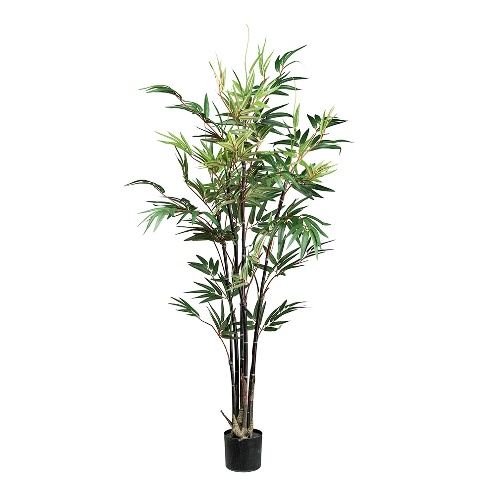 BAMBOO CHINESE zöld mű kínai bambusz 135 cm