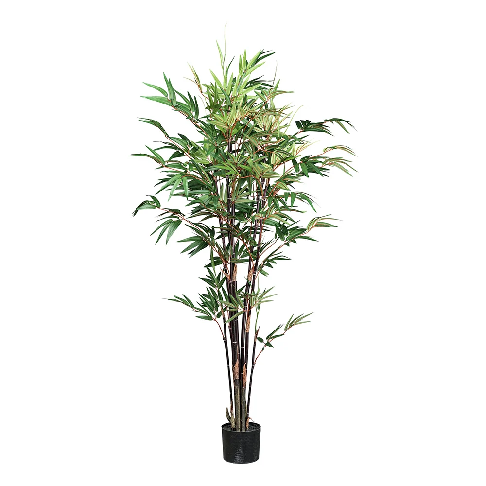 BAMBOO CHINESE zöld mű kínai bambusz 160 cm