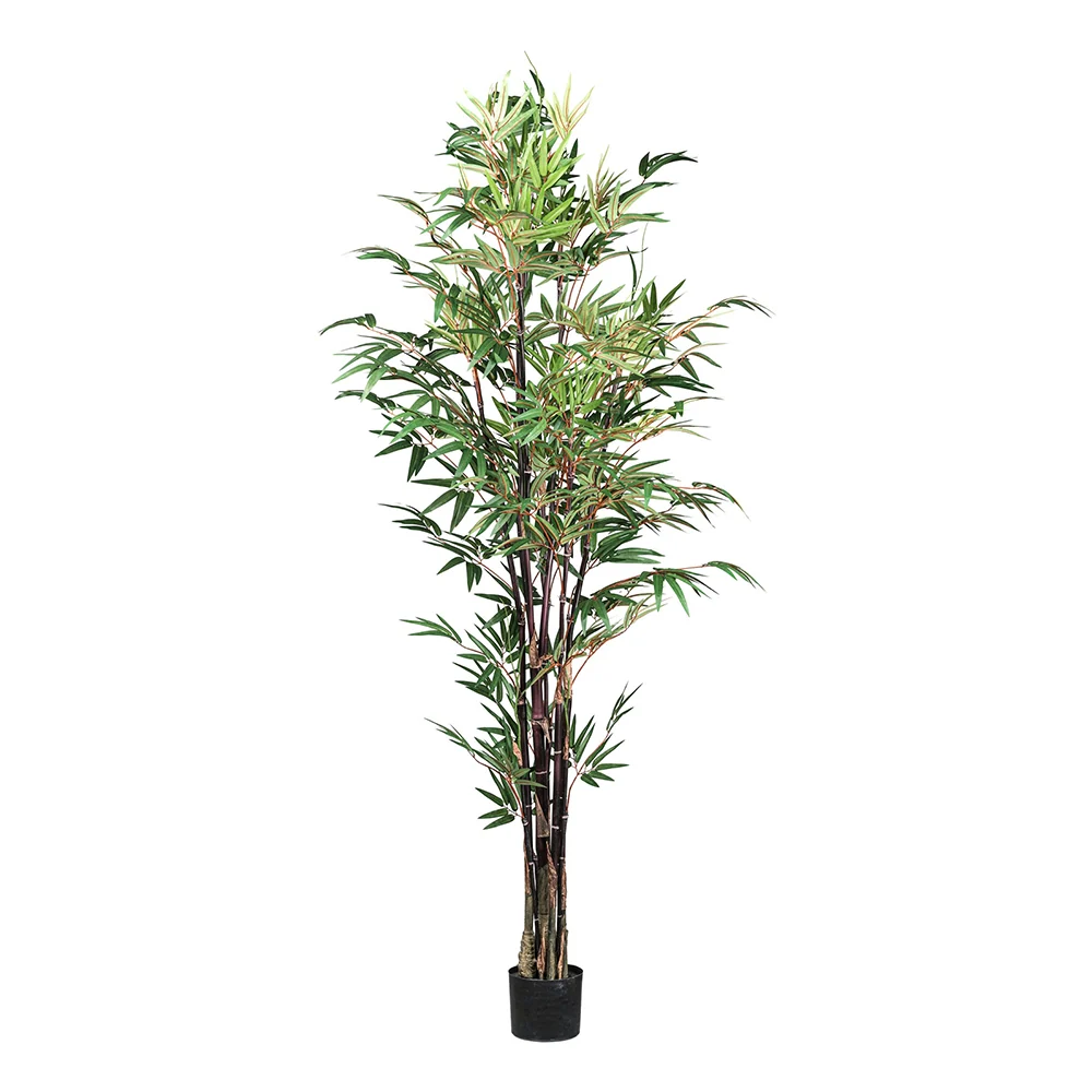BAMBOO CHINESE zöld mű kínai bambusz 190 cm