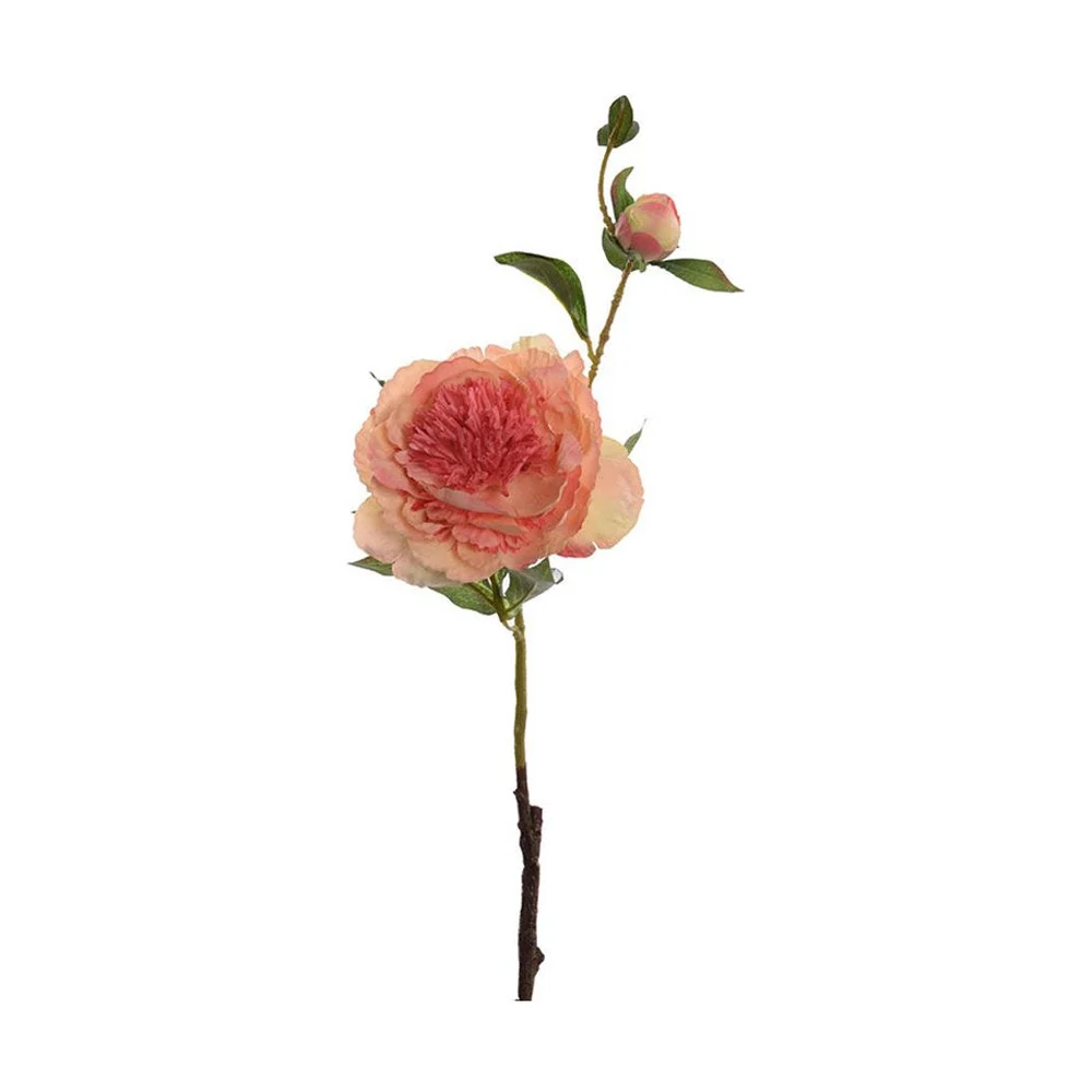 PEONY barack mű bazsarózsa 60 cm