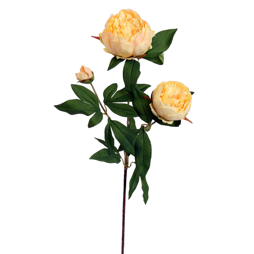 PEONY barackszínű mű bazsarózsa 70 cm