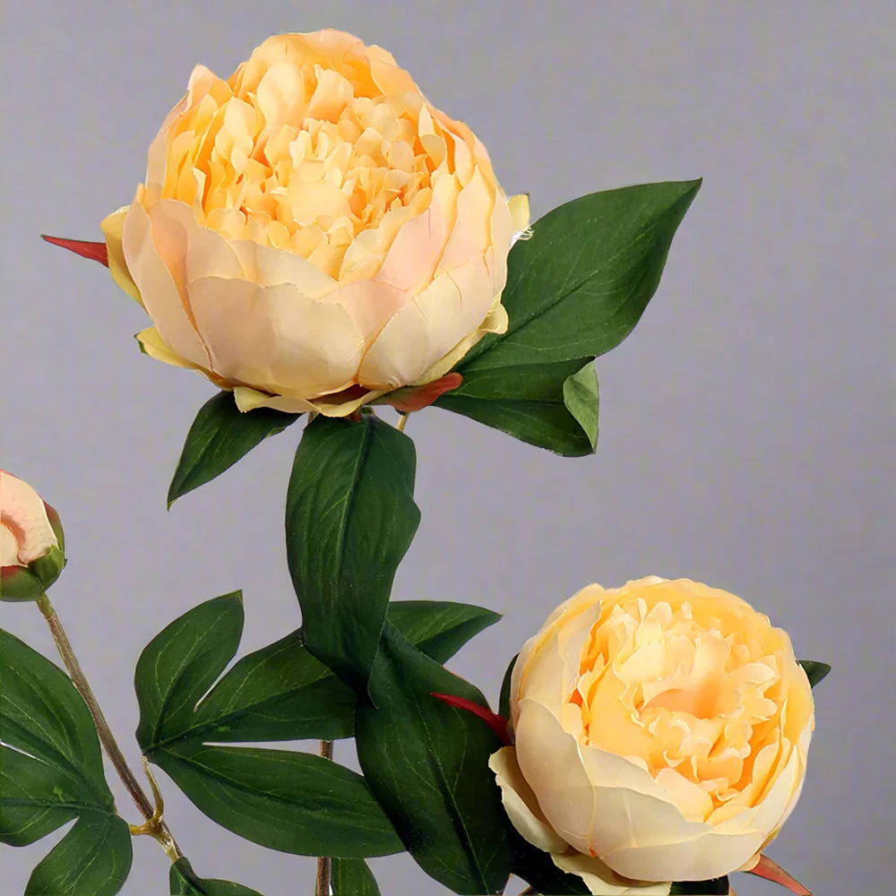 PEONY barackszínű mű bazsarózsa 70 cm