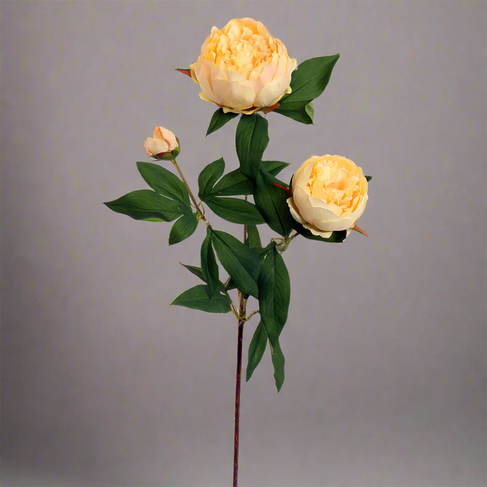 PEONY barackszínű mű bazsarózsa 70 cm