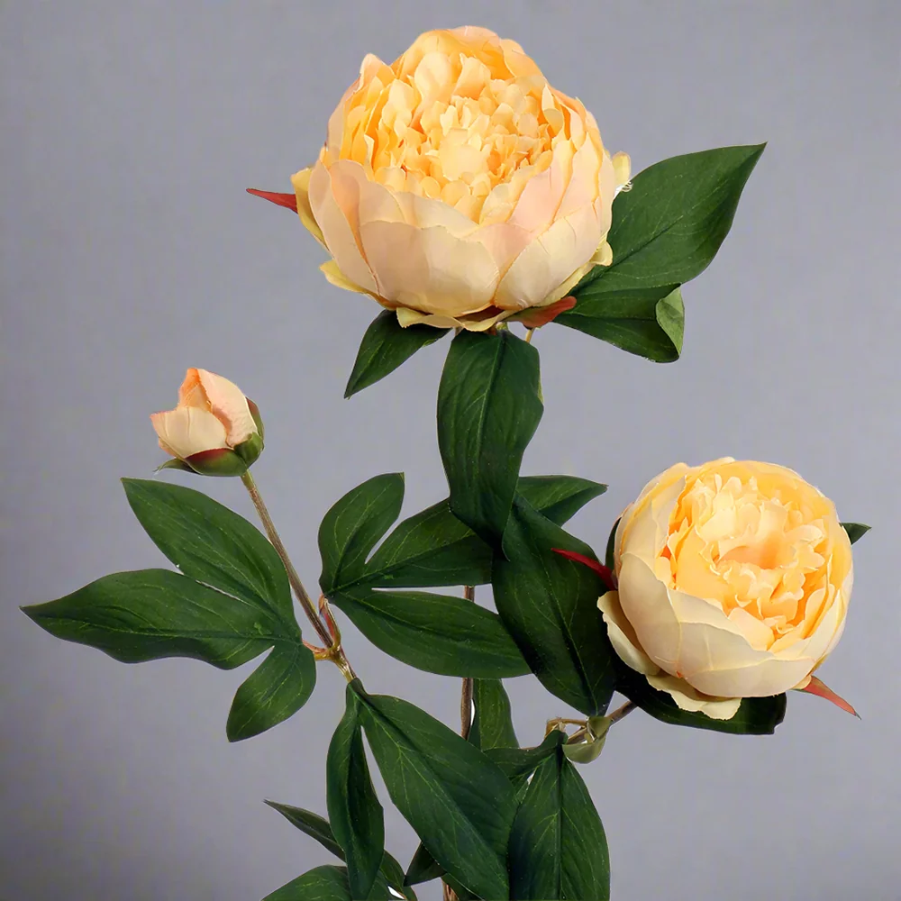 PEONY barackszínű mű bazsarózsa 70 cm