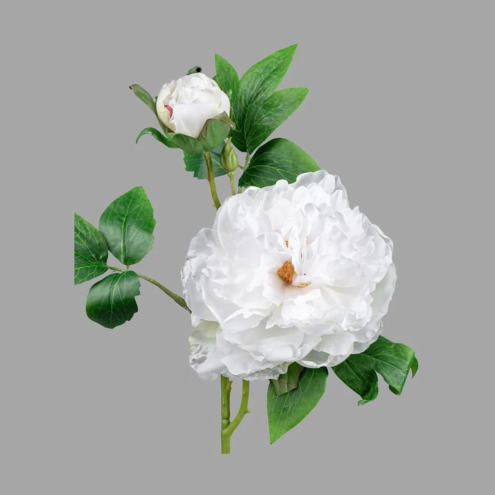 PEONY fehér mű bazsarózsa 55 cm