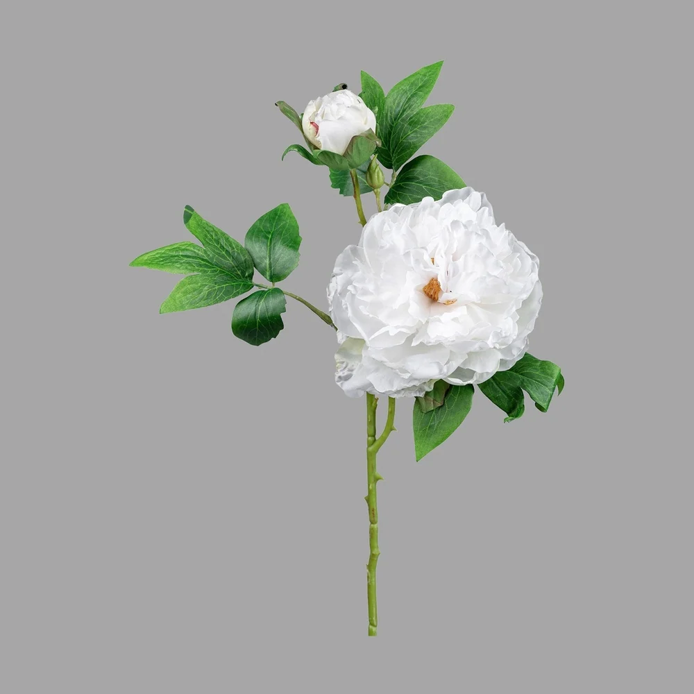 PEONY fehér mű bazsarózsa 55 cm