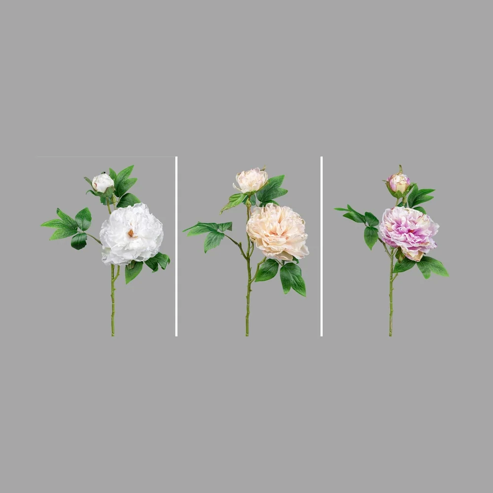 PEONY fehér mű bazsarózsa 55 cm