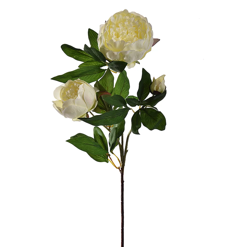 PEONY krém mű bazsarózsa 70 cm