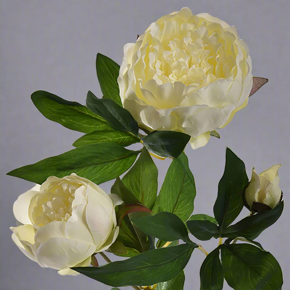 PEONY krém mű bazsarózsa 70 cm