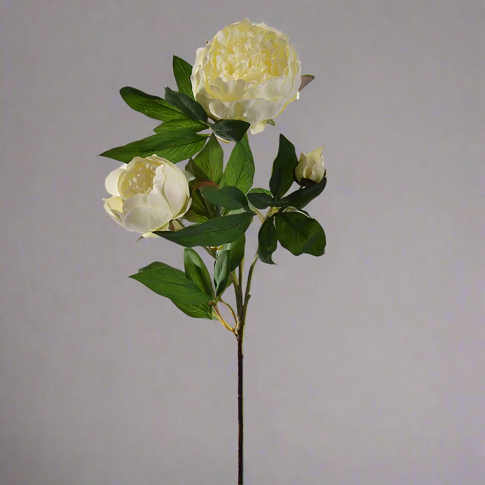PEONY krém mű bazsarózsa 70 cm