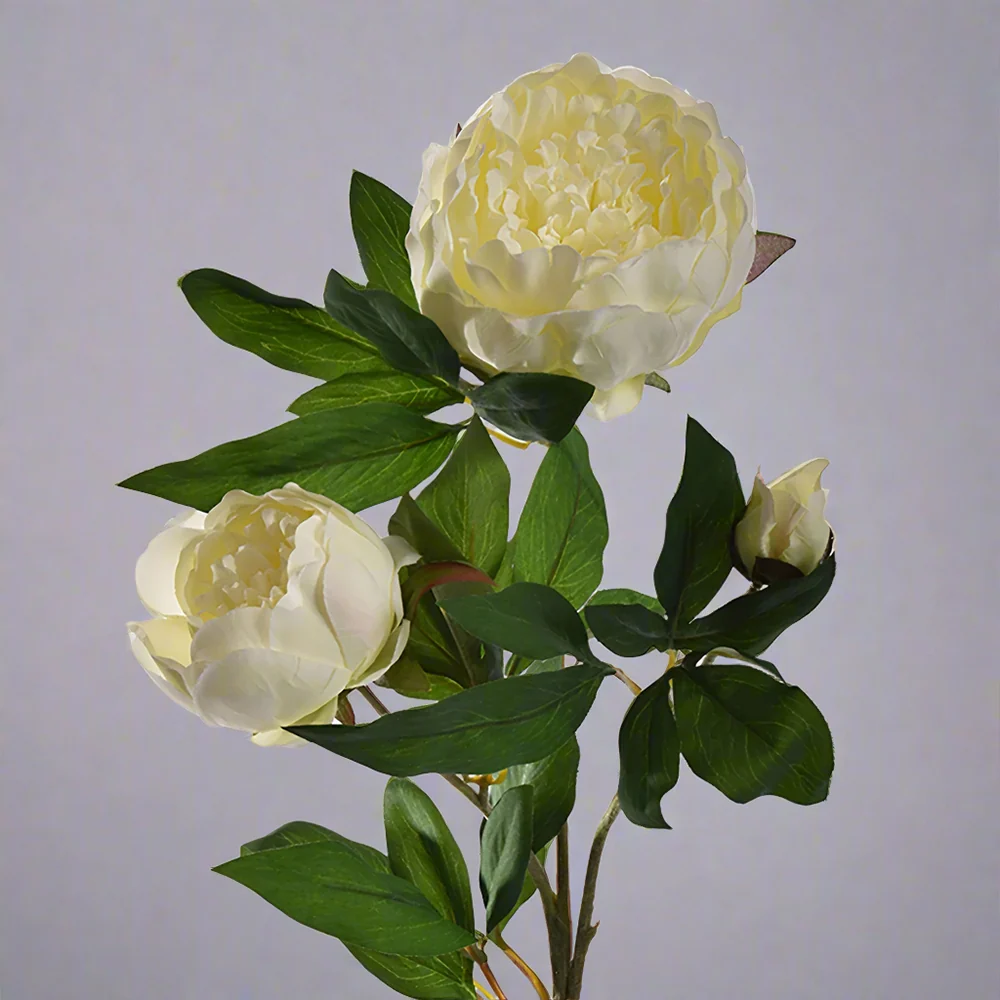 PEONY krém mű bazsarózsa 70 cm