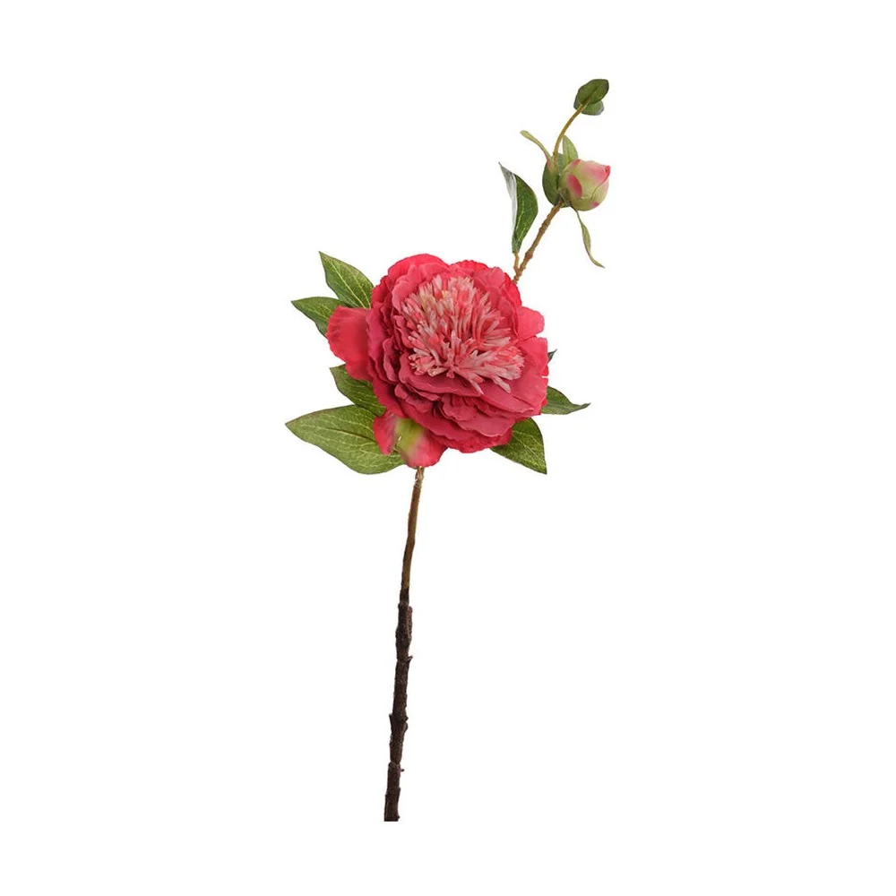 PEONY kármin mű bazsarózsa 60 cm