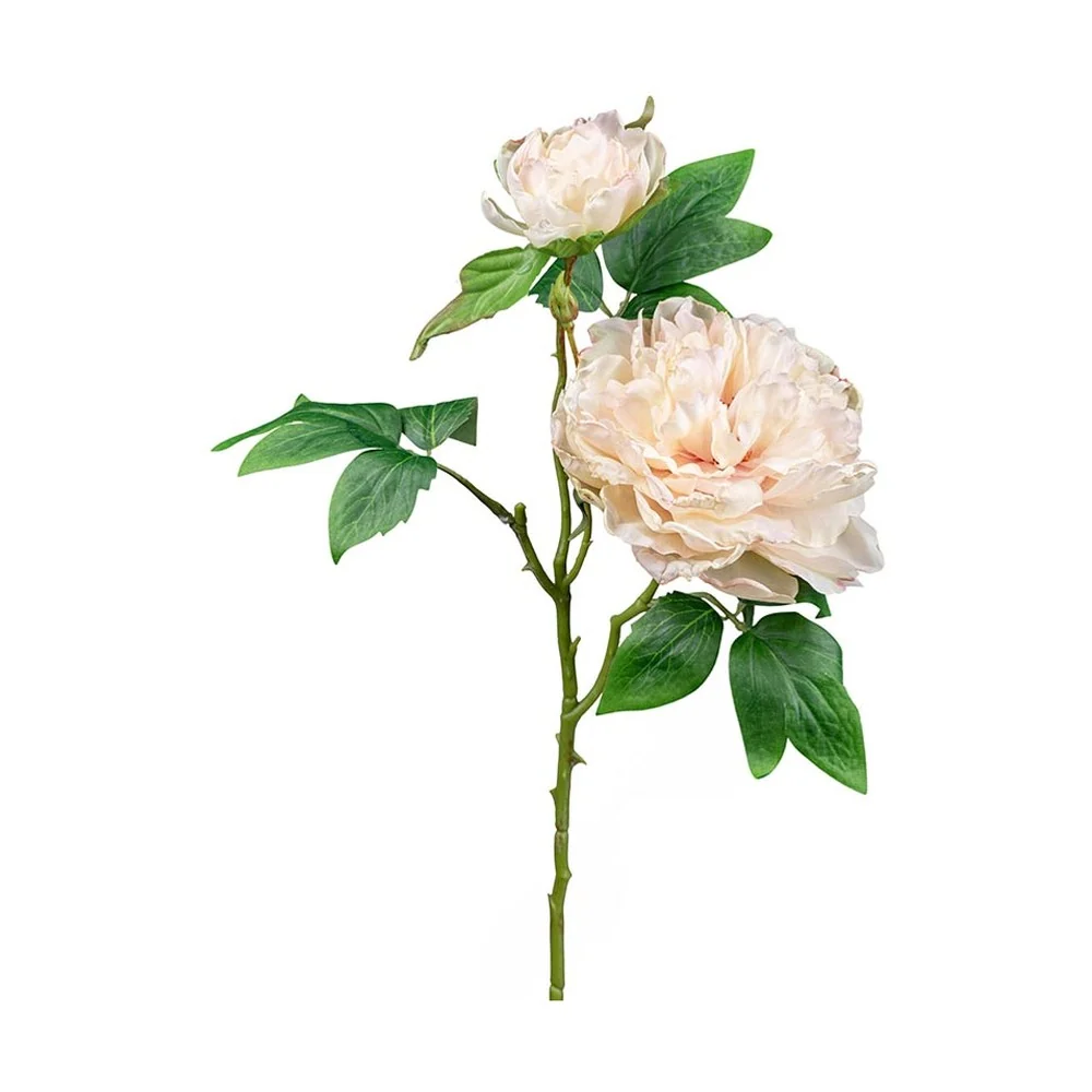 PEONY pezsgő mű bazsarózsa 55 cm