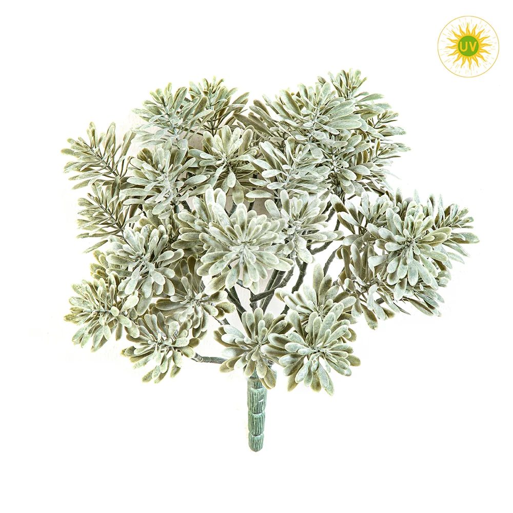 CINERARIA UV-álló betűzős mű tengerparti aggófű 22 cm