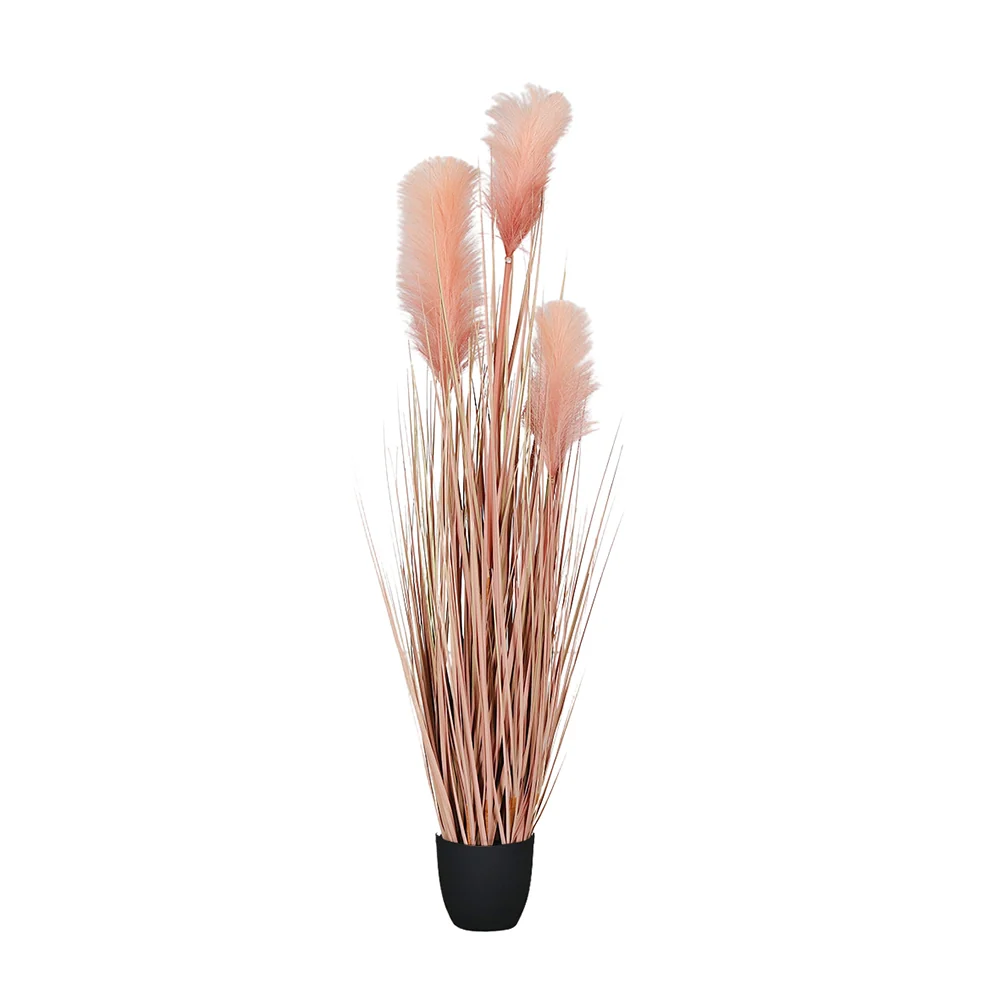 Mű pampafű bokor 117 cm barack "Cortaderia"