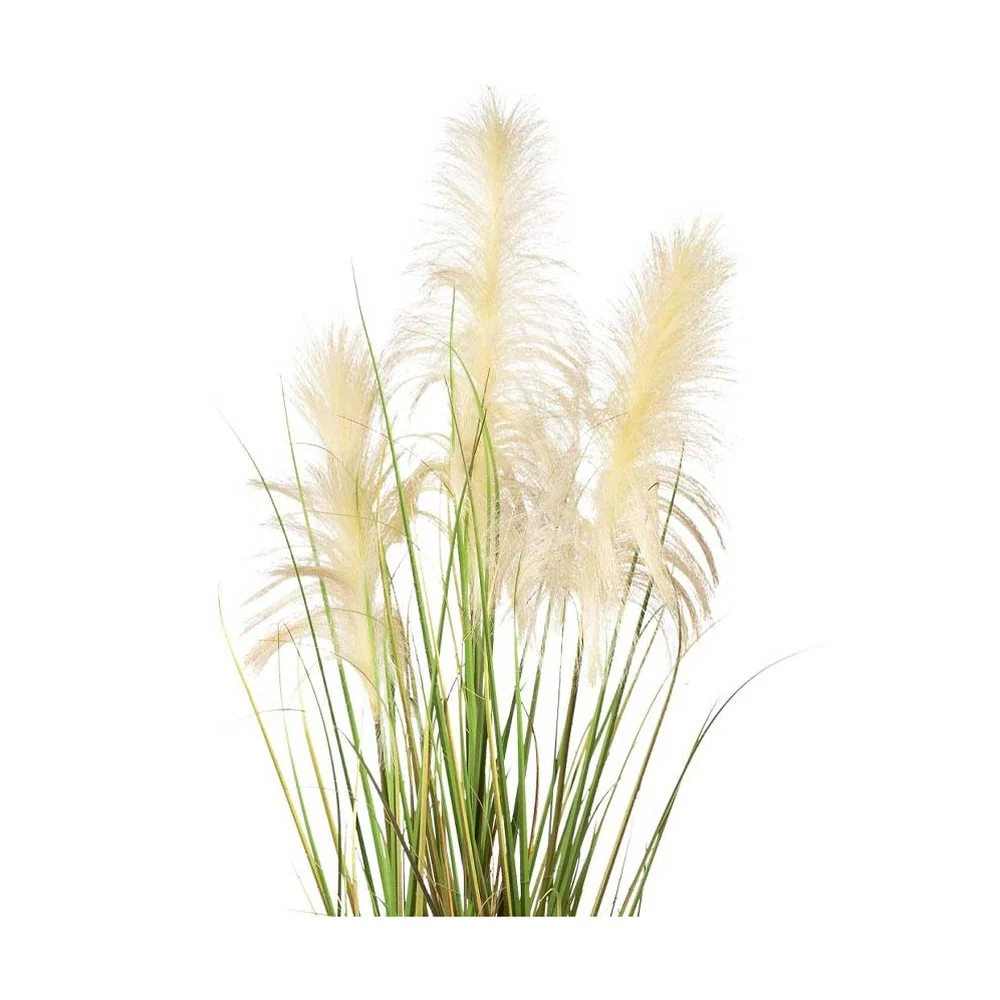 Pampafű bokor cserepes műnövény 130 cm tarka "Cortaderia"