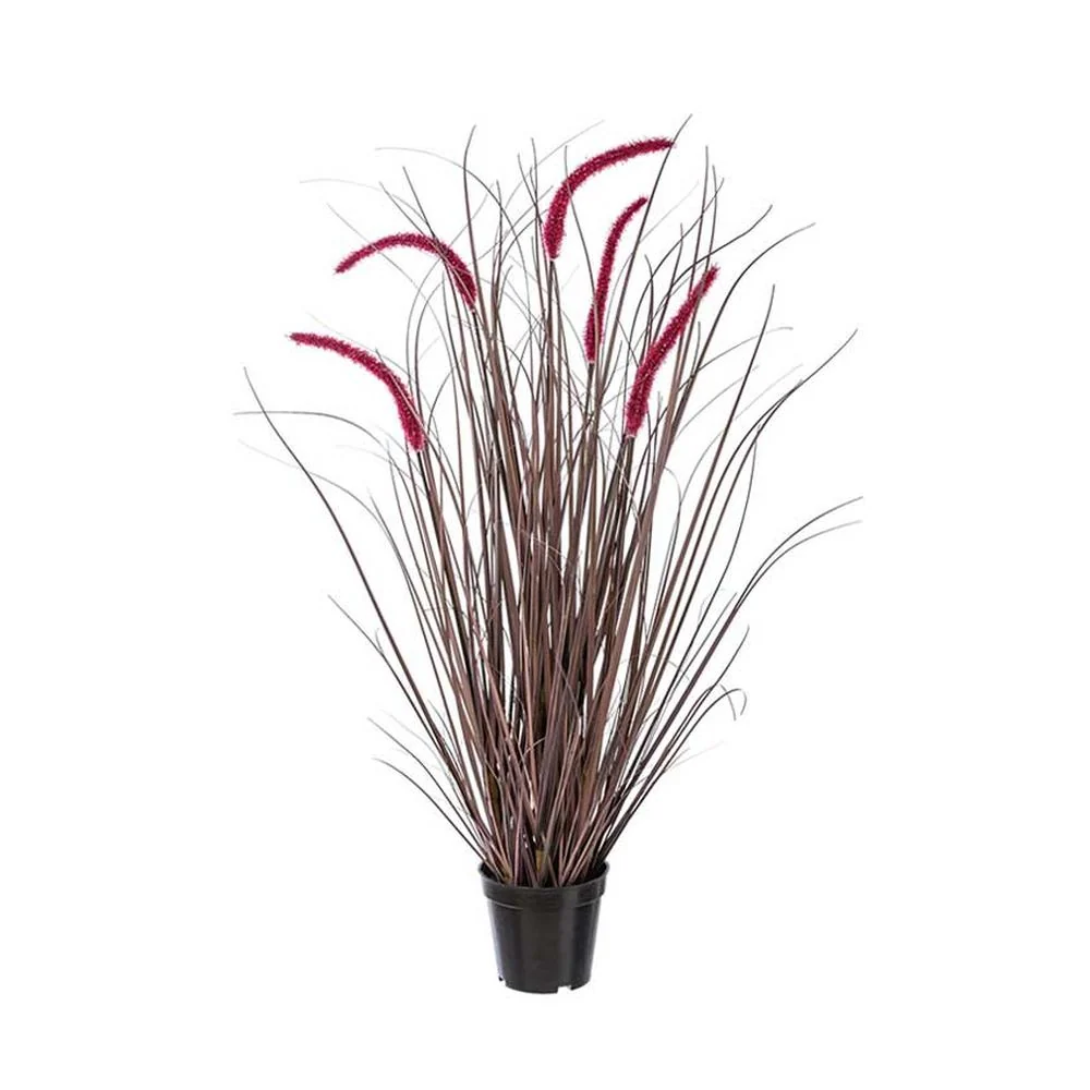 Tollborzfű cserepes műnövény 89 cm padlizsán "Pennisetum Rubrum"