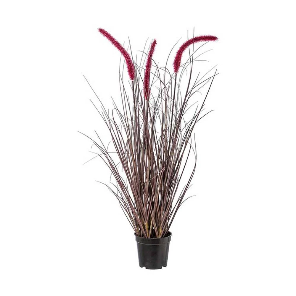 Tollborzfű cserepes műnövény 73 cm padlizsán "Pennisetum Rubrum"