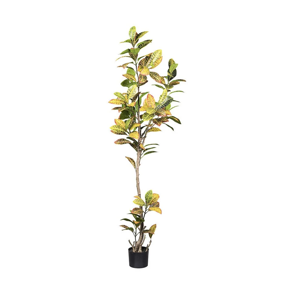 Mű kroton cserje 200 cm sárga-zöld-"Croton"