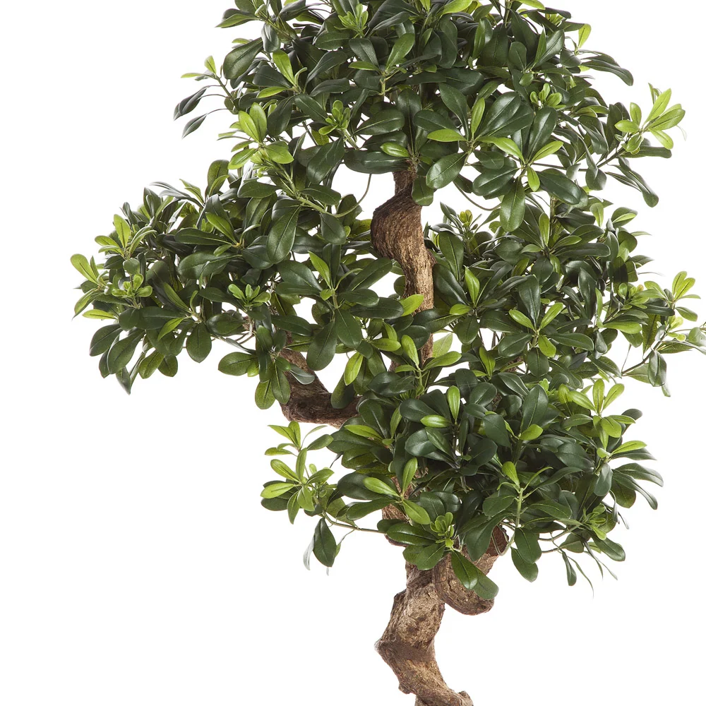 Élethű kínai enyvesmag műnövény 120 cm "Pittosporum"