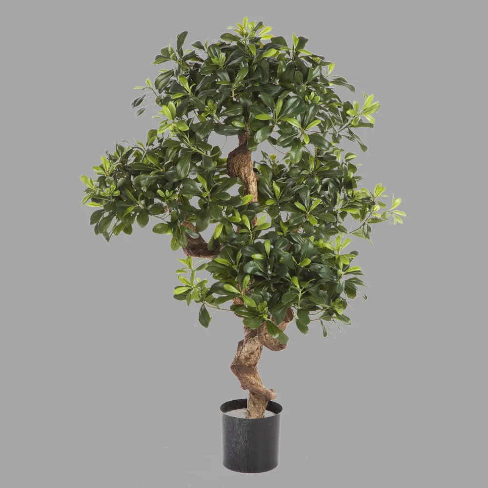 Élethű kínai enyvesmag műnövény 120 cm "Pittosporum"