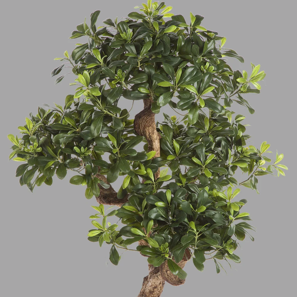 Élethű kínai enyvesmag műnövény 120 cm "Pittosporum"