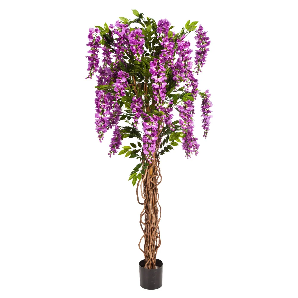 Lila mű akácfa 180 cm "Wisteria"