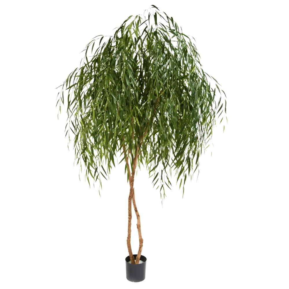 Nagyméretű mű fűzfa 240 cm "Salix"