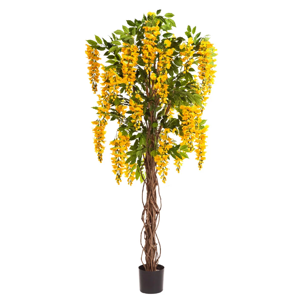 Sárga mű akácfa 180 cm "Wisteria"