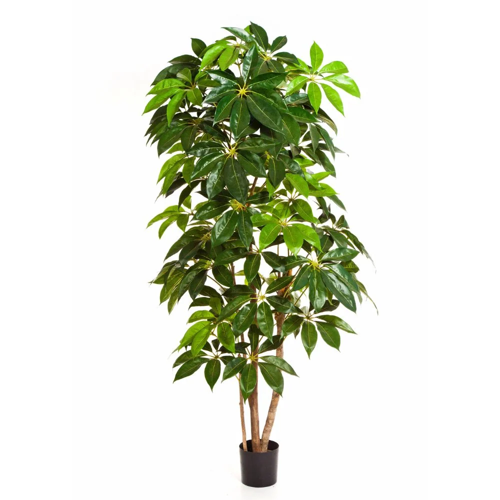 Sugárarália cserepes műnövény 220 cm "Schefflera"