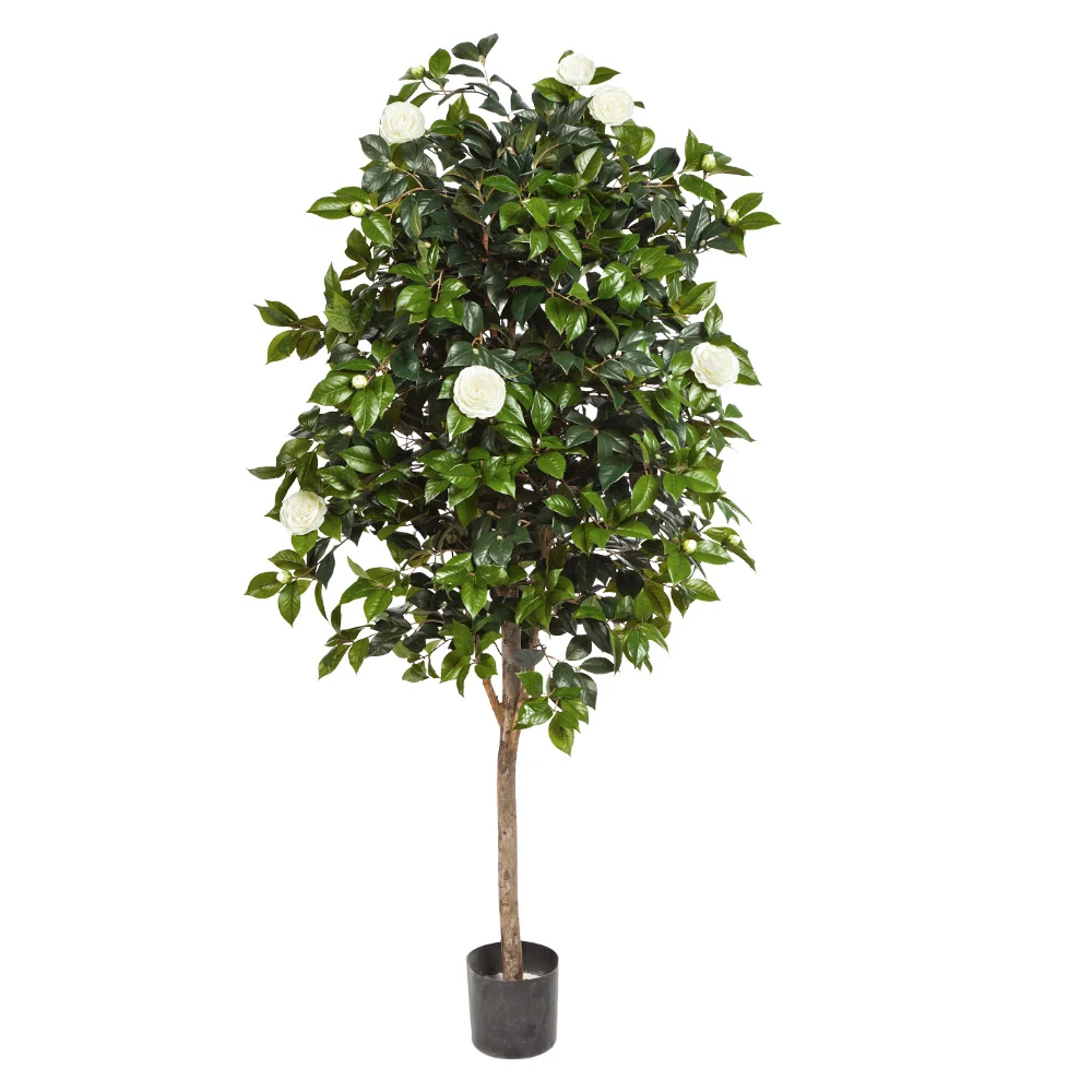 Virágzó mű kamélia cserje 170 cm fehér "Camelia"