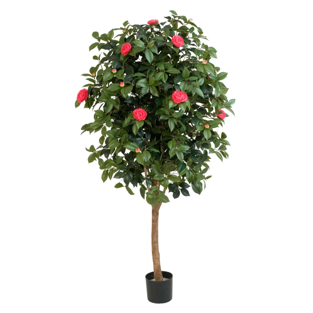 Virágzó mű kamélia cserje 170 cm piros "Camelia"