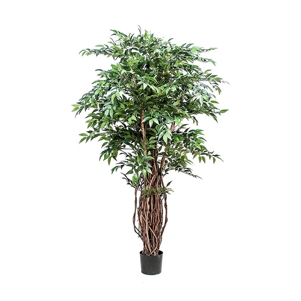 Mű fikusz cserje 180 cm zöld "Ficus Weeping"