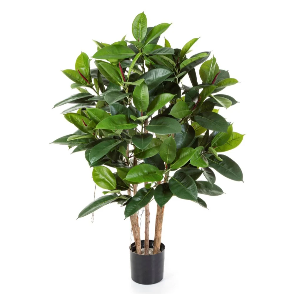Fikusz cserje cserepes műnövény 120 cm "Ficus Elastica"