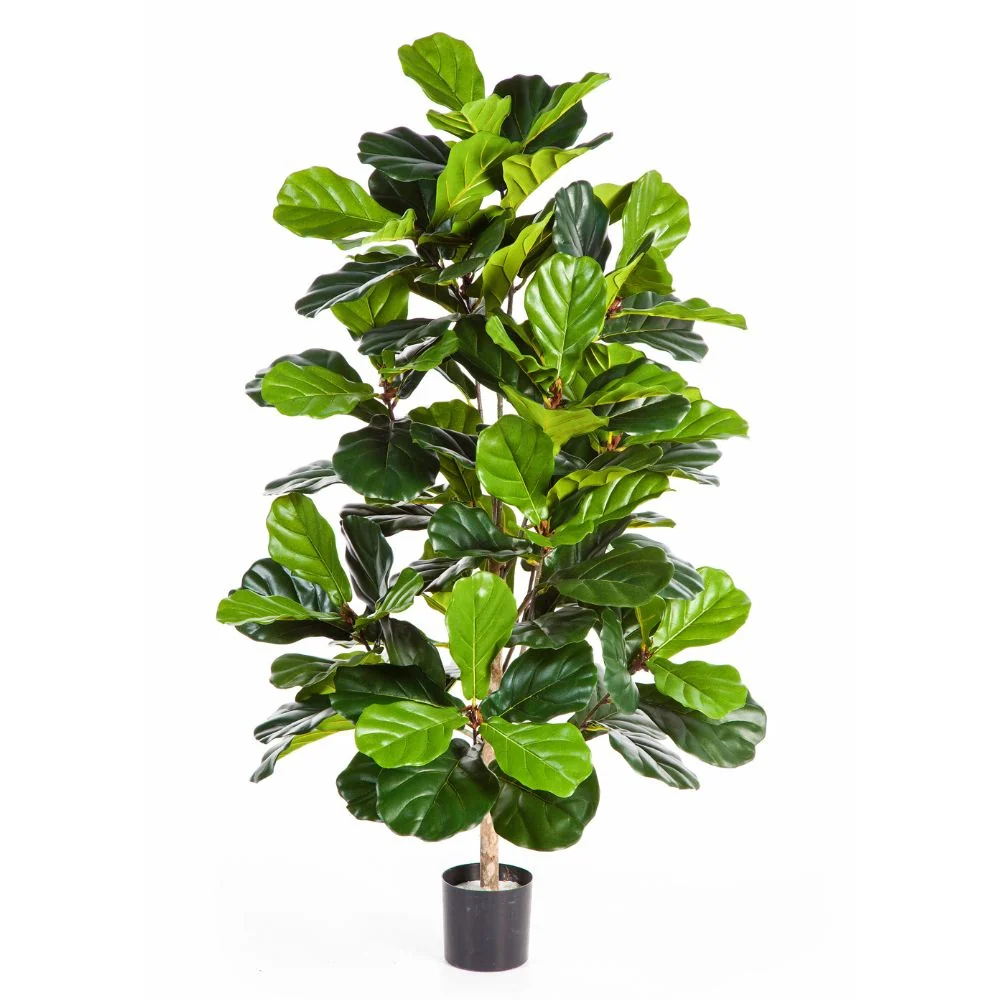 Fikusz cserje cserepes műnövény 130 cm "Ficus Lyrata"