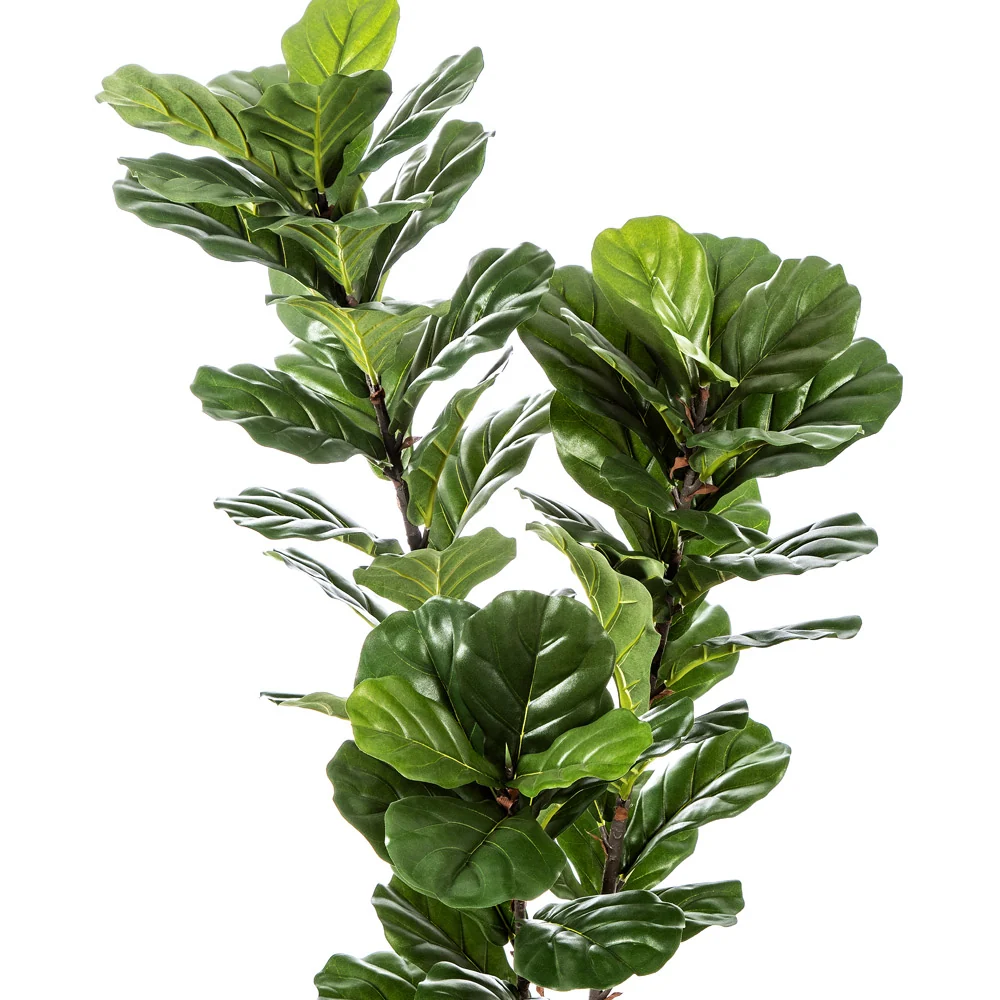 Fikusz cserje cserepes műnövény 130 cm "Ficus Lyrata"