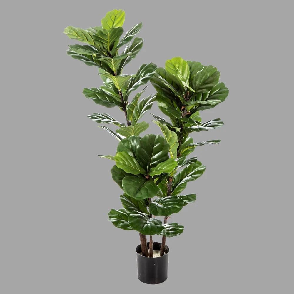 Fikusz cserje cserepes műnövény 130 cm "Ficus Lyrata"