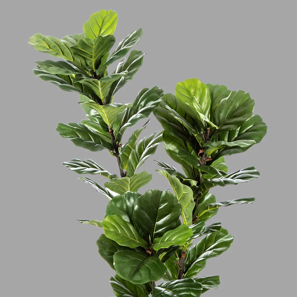Fikusz cserje cserepes műnövény 130 cm "Ficus Lyrata"
