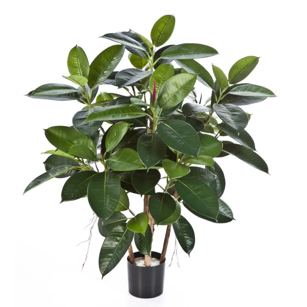 Fikusz cserje cserepes műnövény 90 cm "Ficus Elastica"