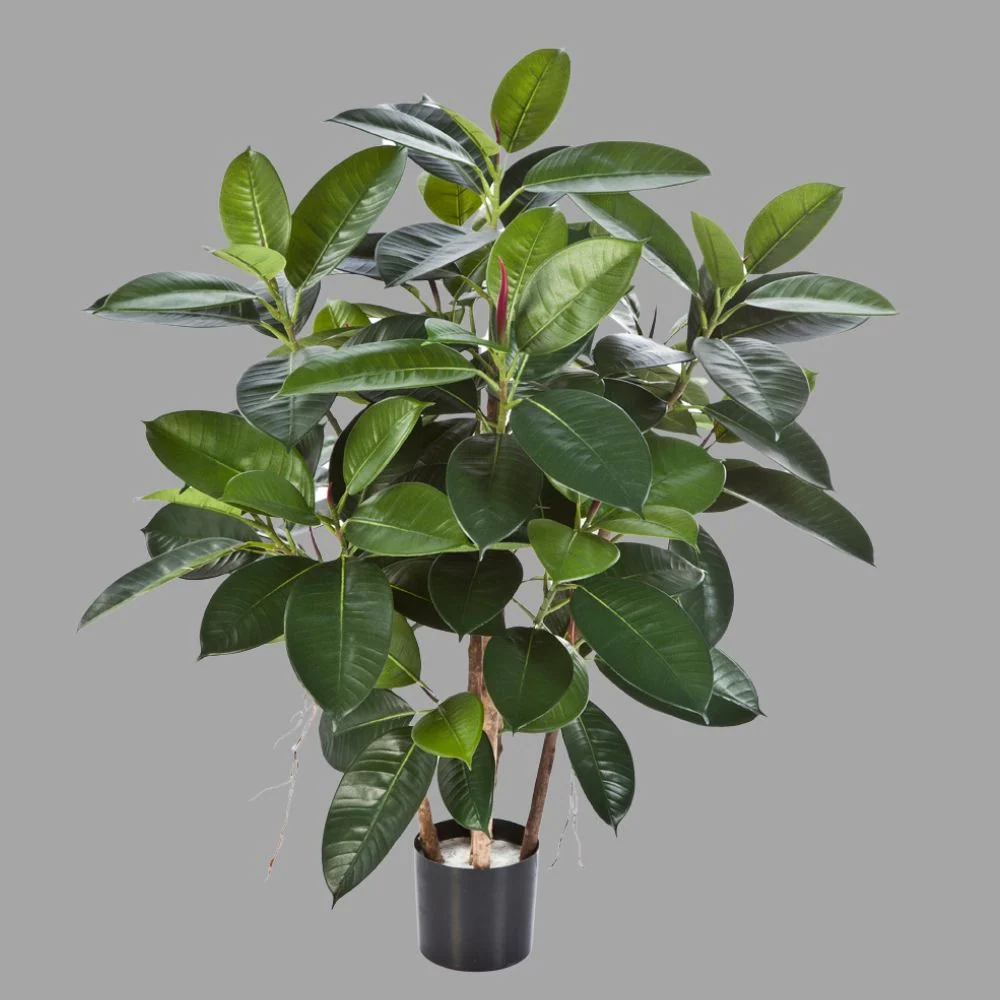 Fikusz cserje cserepes műnövény 90 cm "Ficus Elastica"
