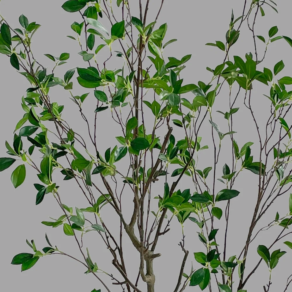 Fikusz műnövény 210 cm zöld "Ficus"