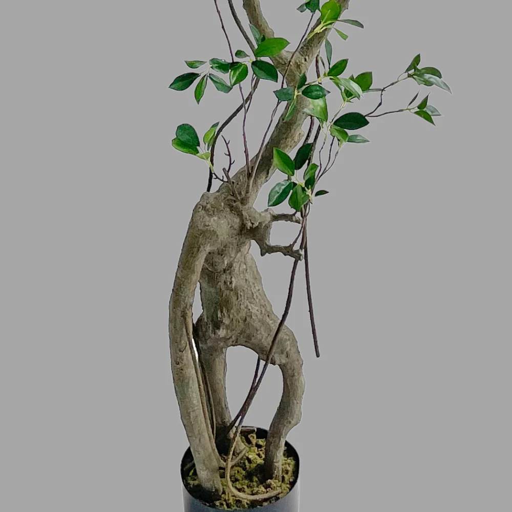 Fikusz műnövény 210 cm zöld "Ficus"