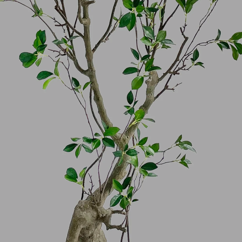 Fikusz műnövény 210 cm zöld "Ficus"