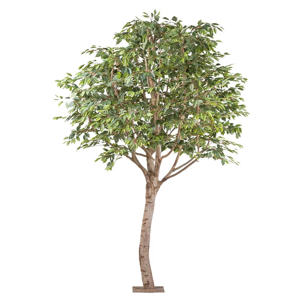 Óriás mű fikusz fa 260 cm zöld "Ficus Benjamina"