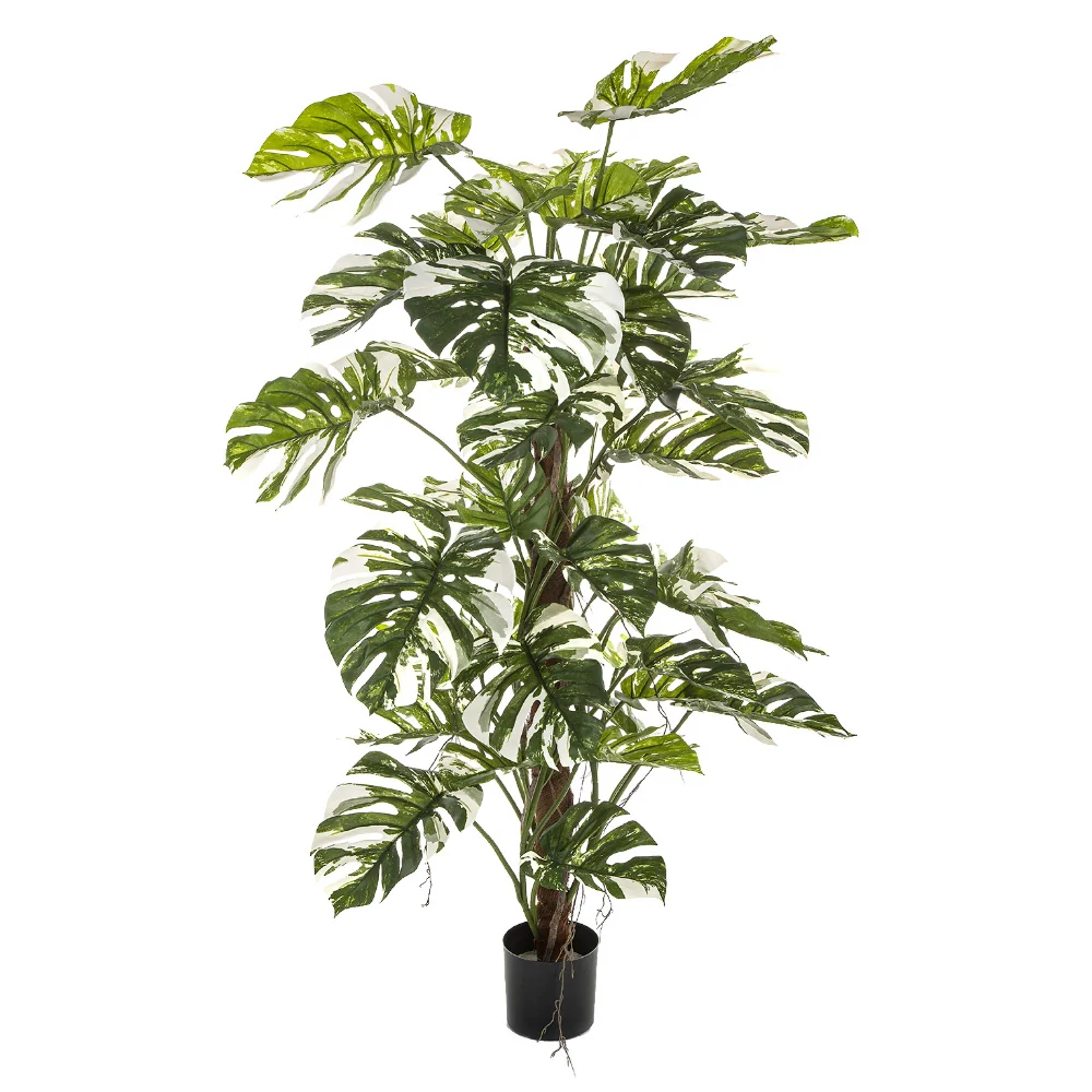 Fehér foltos filodendron műnövény 160 cm "Philodendron"