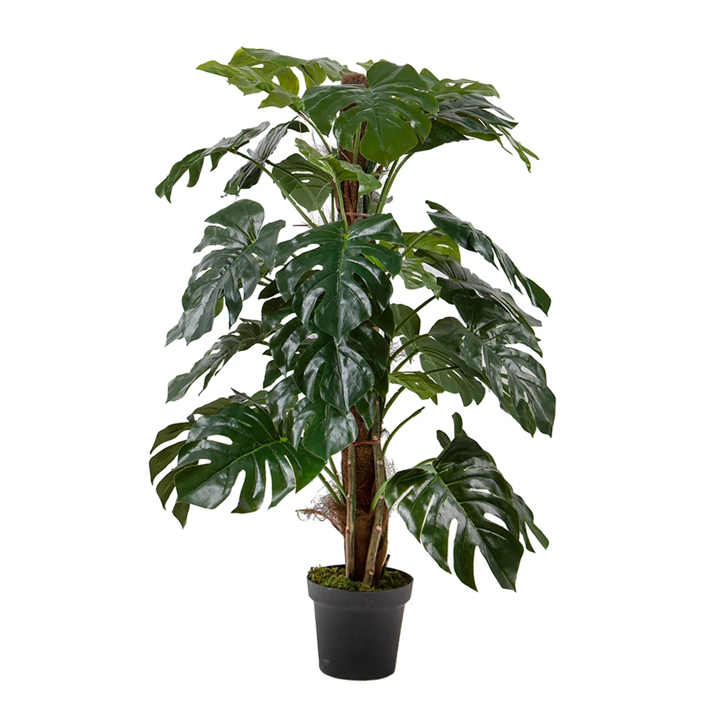 MONSTERA zöld mű könnyezőpálma 136 cm