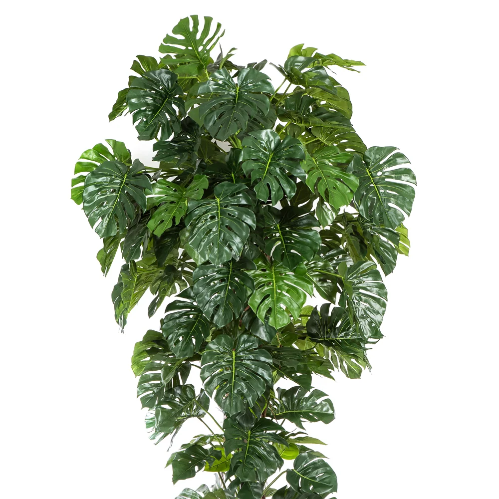 PHILODENDRON óriás zöld mű filodendron 280 cm
