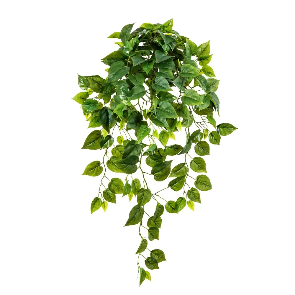 PHILODENDRON zöld aprólevelű mű filodendron csüngő 85 cm