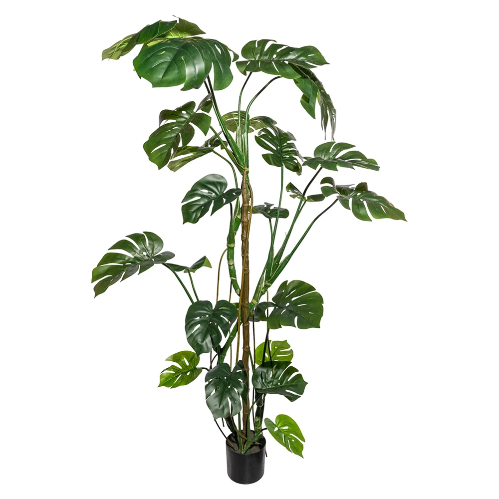 PHILODENDRON zöld mű filodendron 180 cm